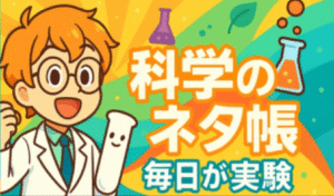 サイエンストレーナー　桑子研様